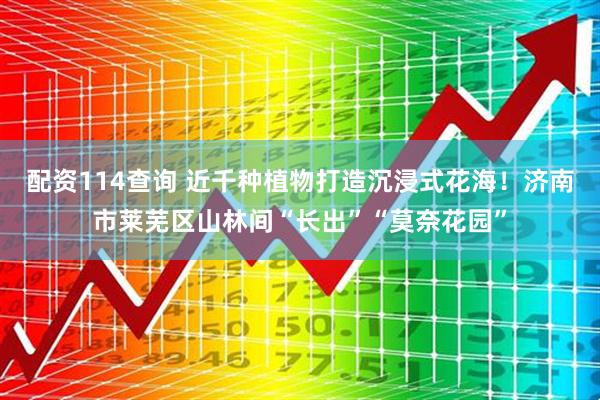 配资114查询 近千种植物打造沉浸式花海！济南市莱芜区山林间“长出”“莫奈花园”